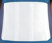 0590 Body Bracer