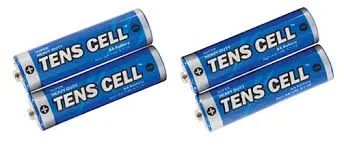 AA Alkaline Batteries – 2 Pack