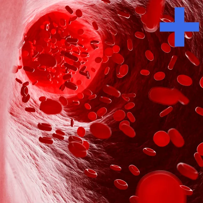 Anemia Panel +