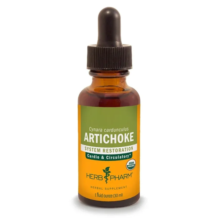 Artichoke