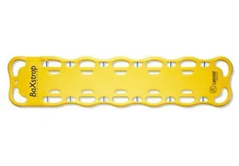 BaXstrap Backboard Mount