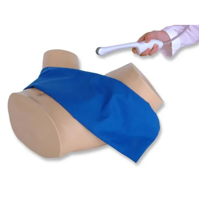 CAE Blue Phantom Pregnancy Transvaginal Ultrasound Training Model