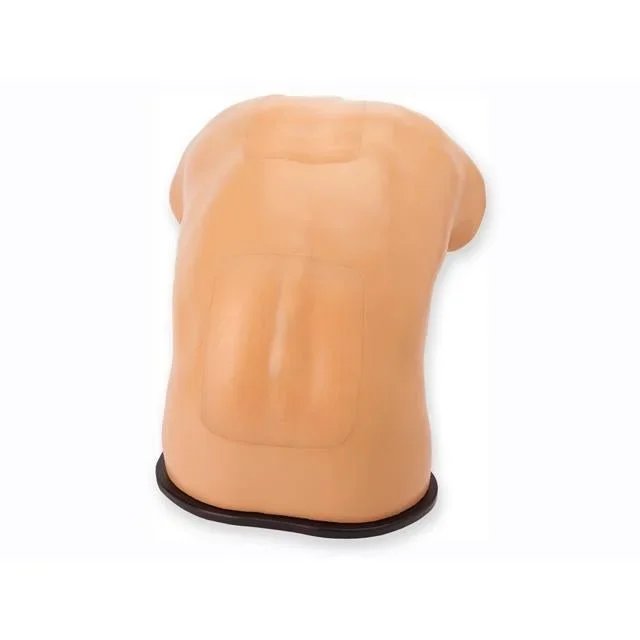 CAE Blue Phantom Upper Torso Ultrasound Training Model
