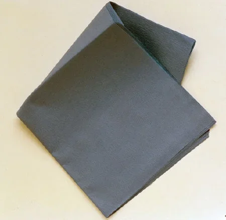 Cardinal Bio-Shield Sterilization Wrap – Blue