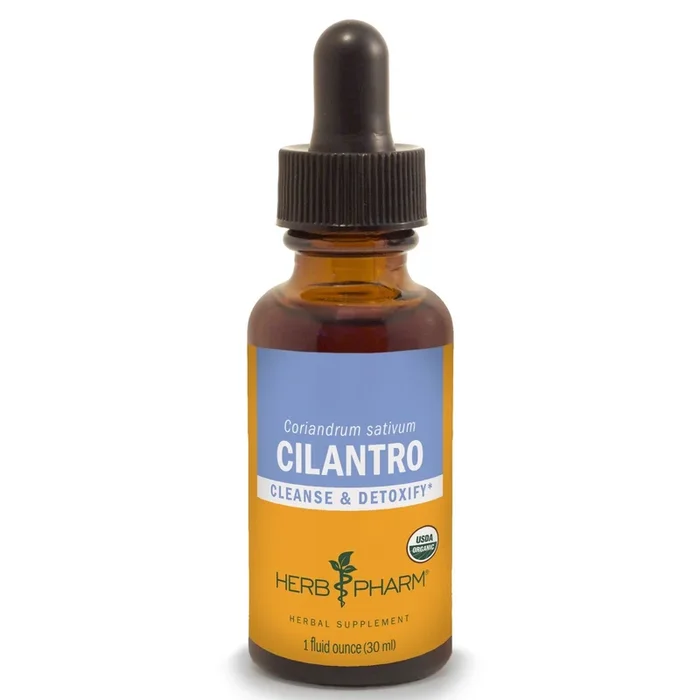 Cilantro