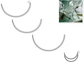 Covidien Maxon Suture with Needle Absorbable Uncoated Green Suture Monofilament Polyglyconate Size 2-0 18 Inch Suture 1-Needle 26 mm Length 1/2 Circle Taper Point Needle – 8886622953