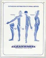 Dermatome Poster by C & C Medical