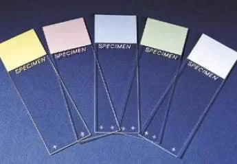 Erie Scientific Superfrost Plus Microscope Slide 25 X 75 mm Super-Frosted – 4951PLUS-001