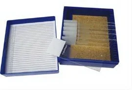 Fisher Anatomical Control Amyloid Tissue – 22026704