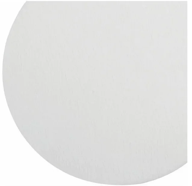 Fisher Scientific Filter Paper 9 cm Diameter, Grade 615, Particle Retention: 25 um, Rough Surface – 0979062C