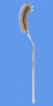 Fisher Scientific Fisherbrand Flask Brush 12 Inch L, Bristle: 1.37 OD X 3.5 L Inch, Plastic, Flexible-Handle with Hanging Ring 250 mL Flask – 03570A