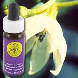 Flower Essence Services Cayenne (0.25 fl oz) #8286