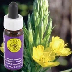 Flower Essence Services Evening Primrose (0.25 fl oz) #8369