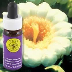 Flower Essence Services Saguaro (0.25 fl oz) #8326