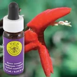 Flower Essence Services Scarlet Monkeyflower (0.25 fl oz) #8328