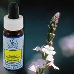 Flower Essence Services Vervain (0.25 fl oz) #8414
