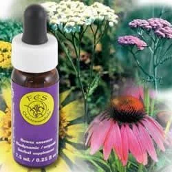 Flower Essence Services Yarrow Special Formula (0.25 fl oz) #8272