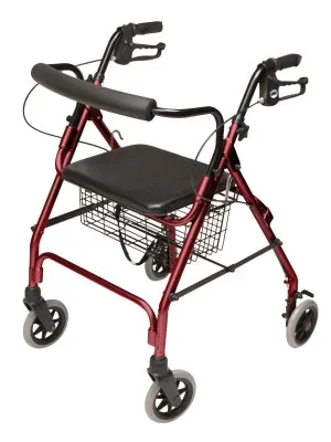 Graham-Field Back Bar Only for Lumex Rollator RJ4300-MBAR