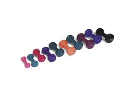 Hausmann Industries Dumbbell 1 lbs. – 5510-V