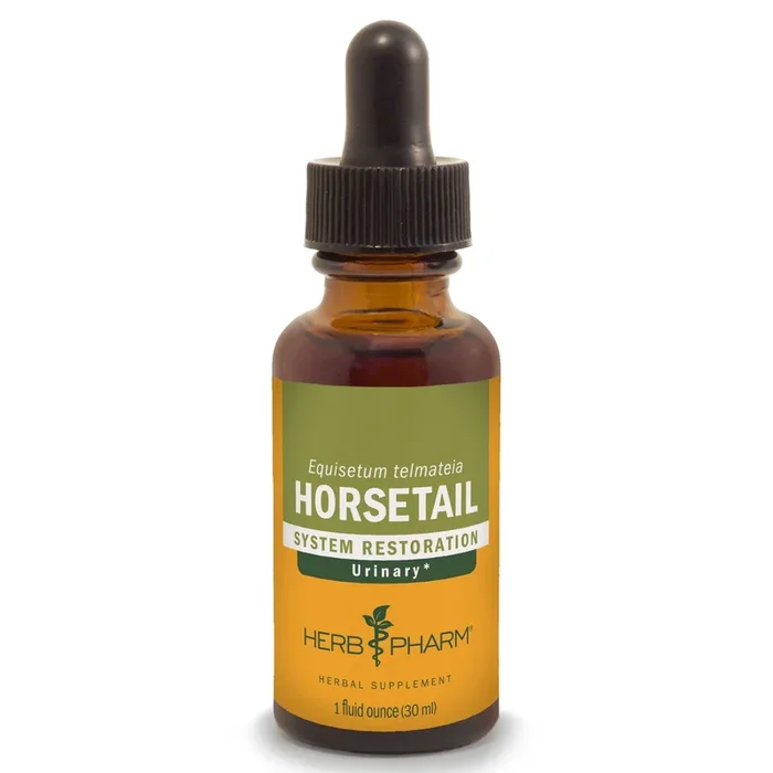 Horsetail