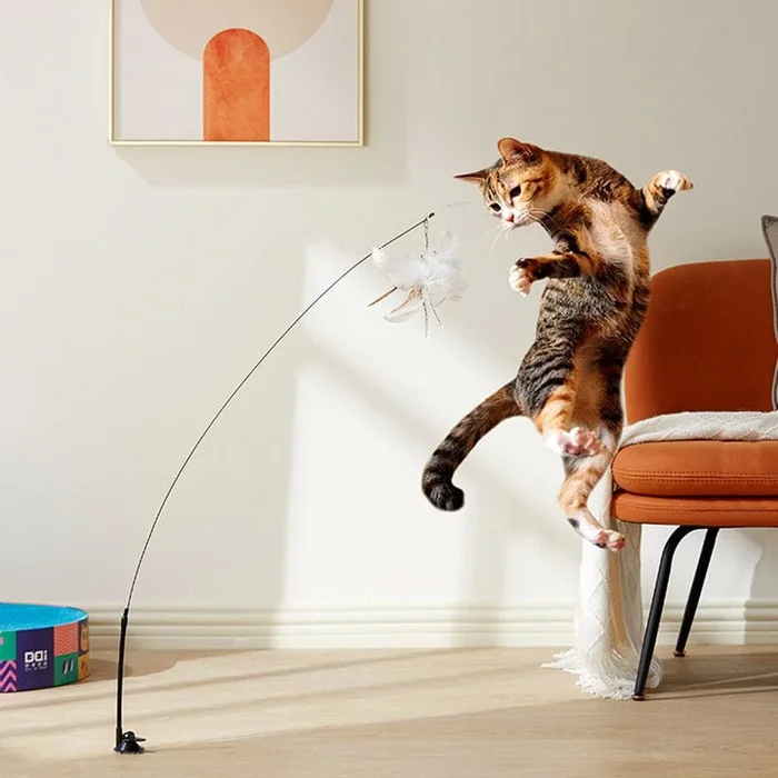 Interactive Bird Simulation Cat Toy
