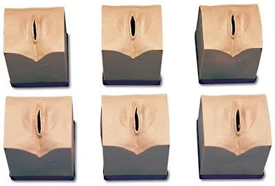 Nasco Life/Form Cervical Dilatation/Effacement Simulators – LF001068