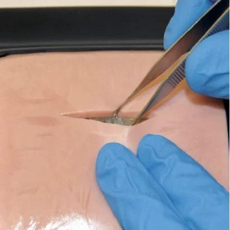 Nasco LifeLike Biotissue Life Like Skin – SB48846