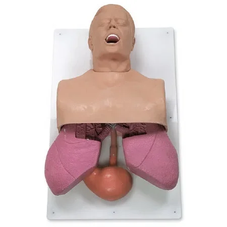 Nasco Simulaids Airway Management Trainer Adult – 101-501