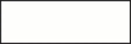 Precision Dynamics Barkley Blank Label Multipurpose Label Without Legend White 1-1/2 X 1/2 Inch – ANW-B