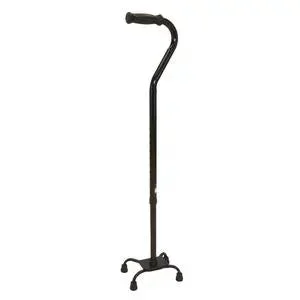 ProBasics Quad Cane