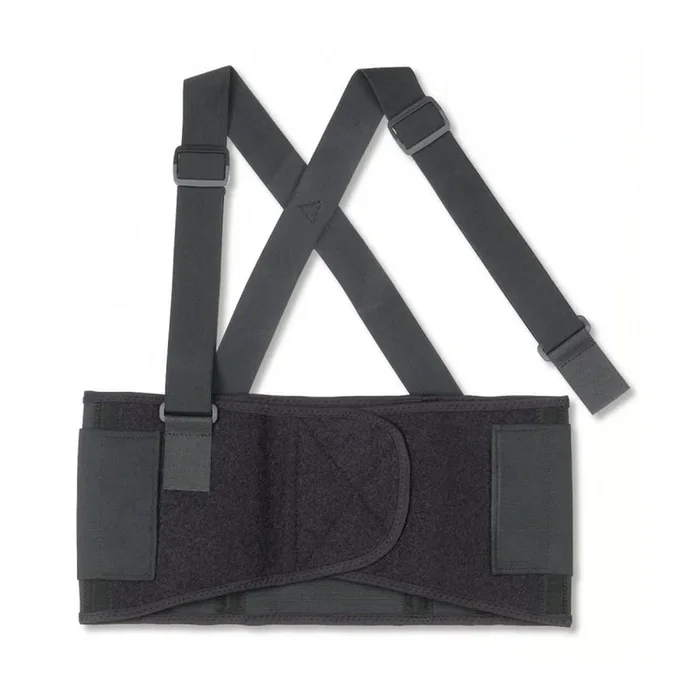 Proflex 1650 Back Support