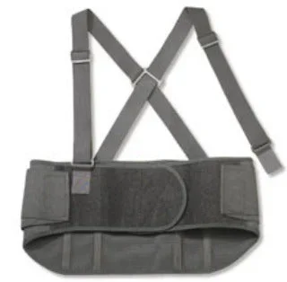 ProFlex® Standard Back Support, Large