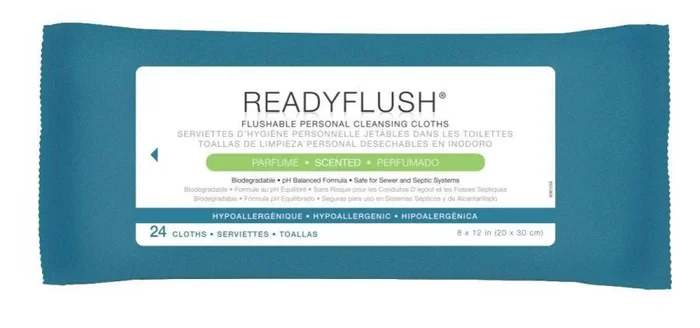 ReadyFlush Biodegradable Flushable Wipes One count