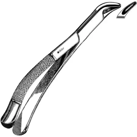 Sklar Sklar Extracting Forceps Premium OR Grade Stainless Steel NonSterile NonLocking Plier Handle Curved #151S Serrated Tips – 49-4440
