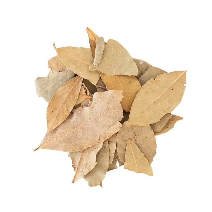 Smallflower Bay Leaves (Laurus Nobilis) (2 oz) #10080059