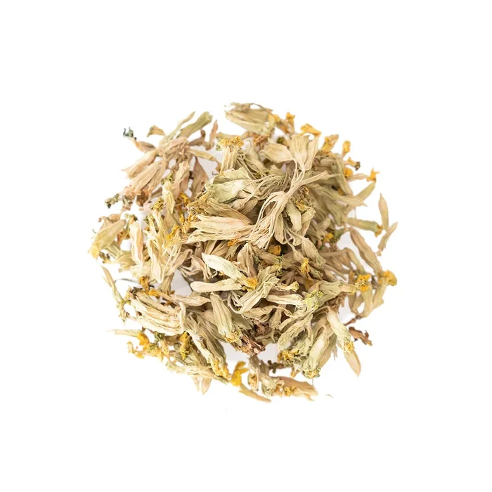 Smallflower Cowslip (Primula officinalis) (2 oz) #11260
