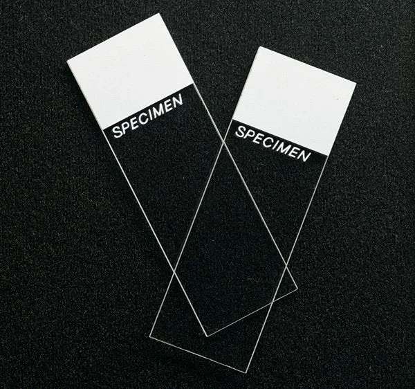 Superfrost Microscope Slide