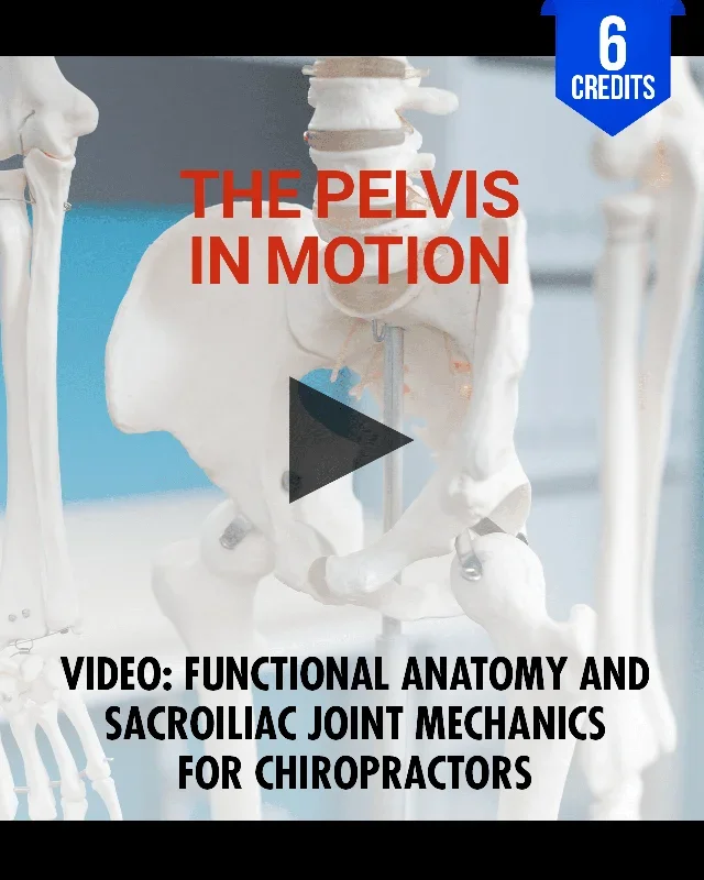 The Pelvis in Motion: Functional Anatomy and Sacroiliac Joint Mechanics for Chiropractors – Chiropractic Continuing Education, Anatomy, 6 Hours