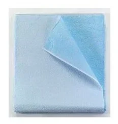 Tidi Everyday Blue Flat Stretcher Sheet