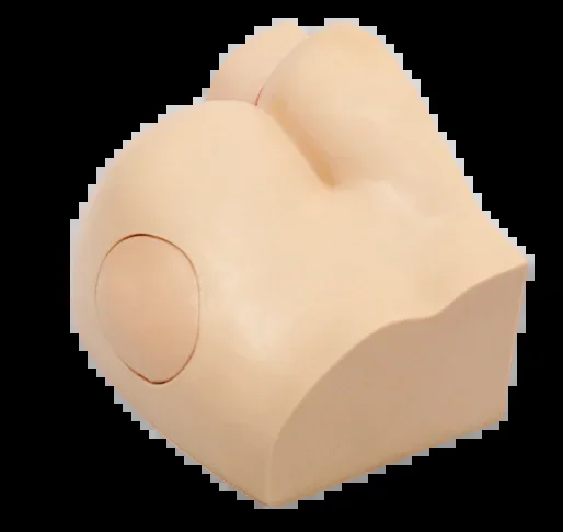 XC431 Buttock Injection Model